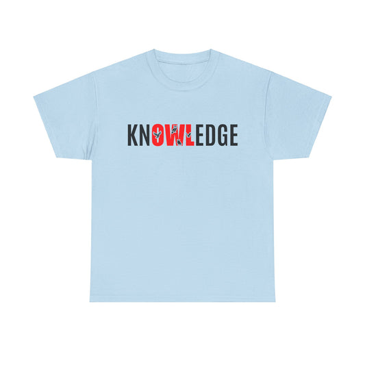 “knOWLedge” Owl design, Unisex Heavy Cotton Tee